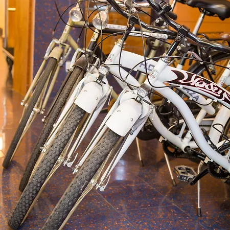 Hotel Western Plaza 4*